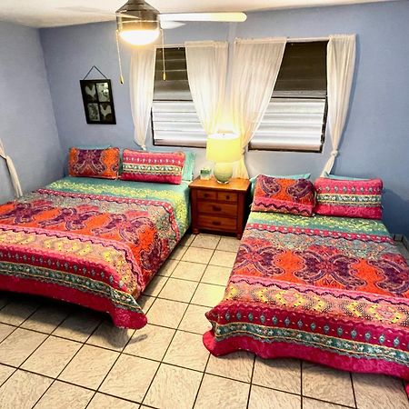 Esperanza Inn Guesthouse (Adults Only) Vieques Pokoj fotografie