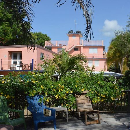 Esperanza Inn Guesthouse (Adults Only) Vieques Exteriér fotografie