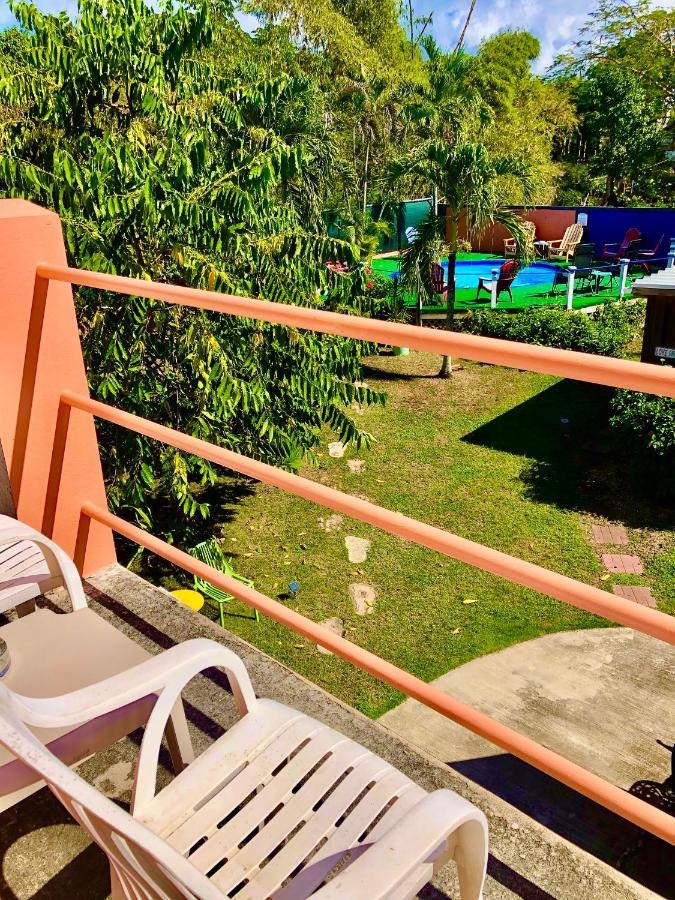 Esperanza Inn Guesthouse (Adults Only) Vieques Exteriér fotografie