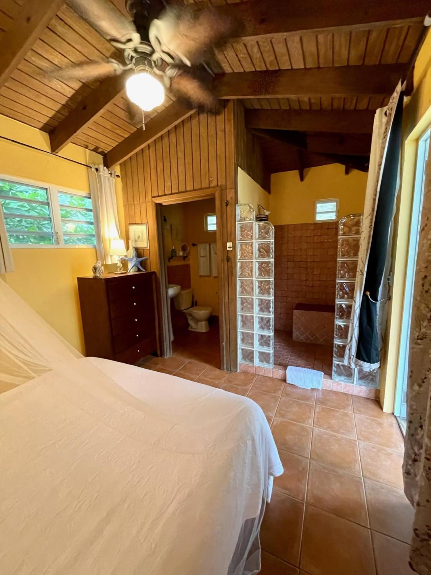 Esperanza Inn Guesthouse (Adults Only) Vieques Pokoj fotografie